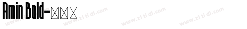 Amin Bold字体转换